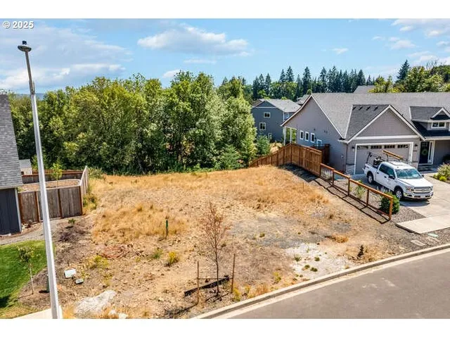 a view of a swimming pool with lawn chairs and large trees