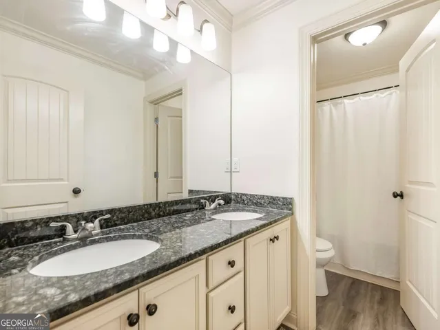 a bathroom with a granite countertop sink a toilet and a mirror