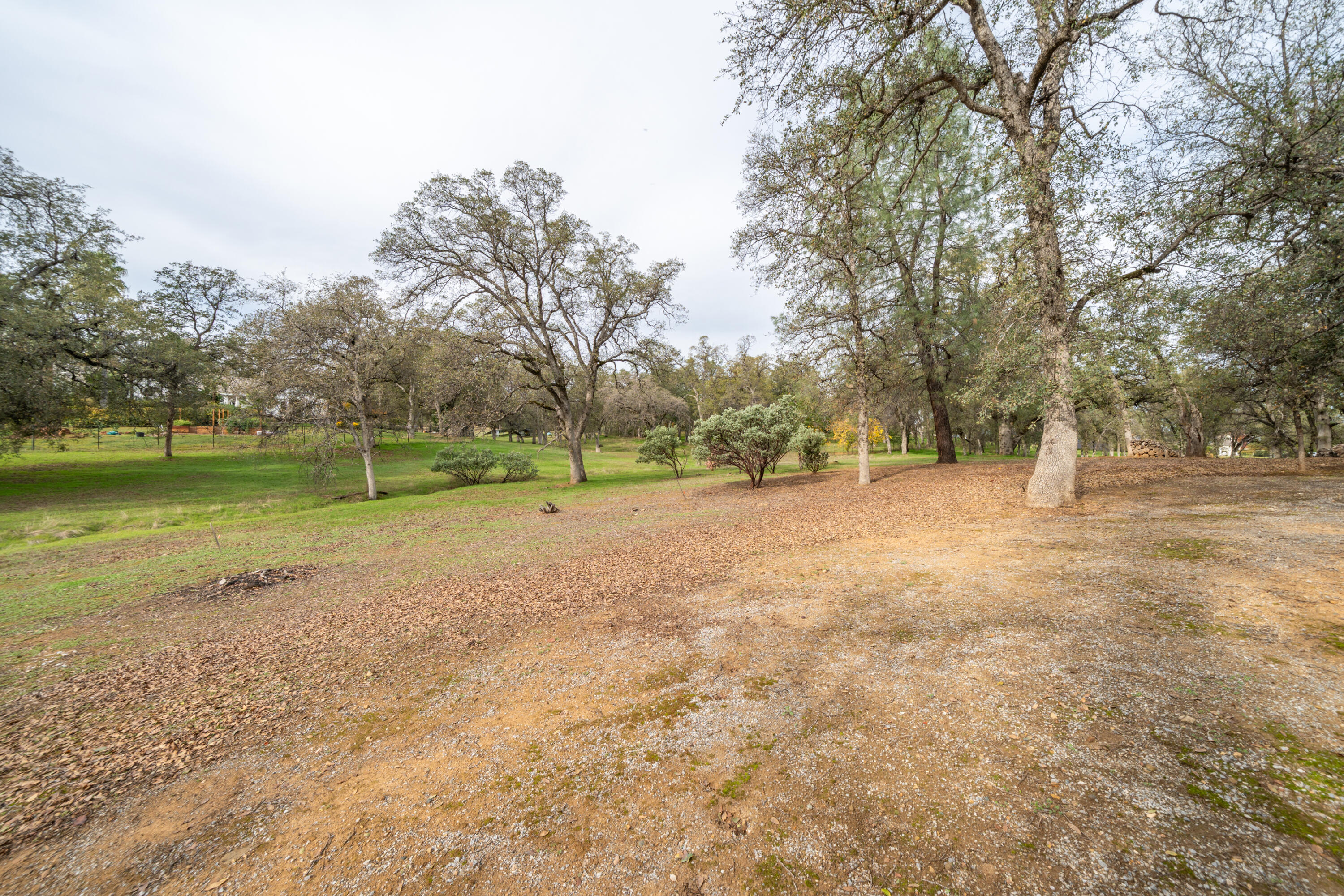 15900 El Camino Robles Road Redding, CA 96001 - Photo 106 of 117 a view of dirt field with trees