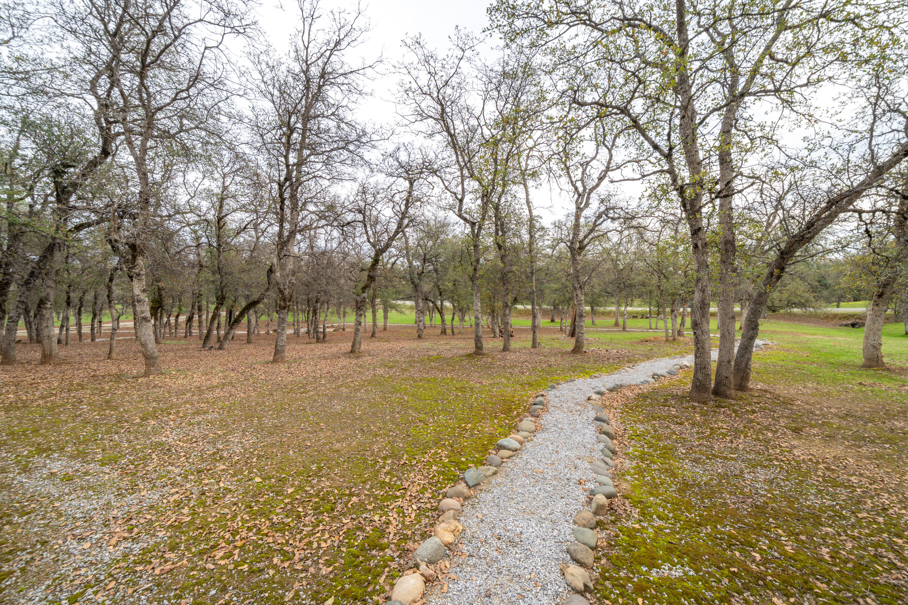 15900 El Camino Robles Road Redding, CA 96001 - Photo 107 of 117 a view of a park with large trees