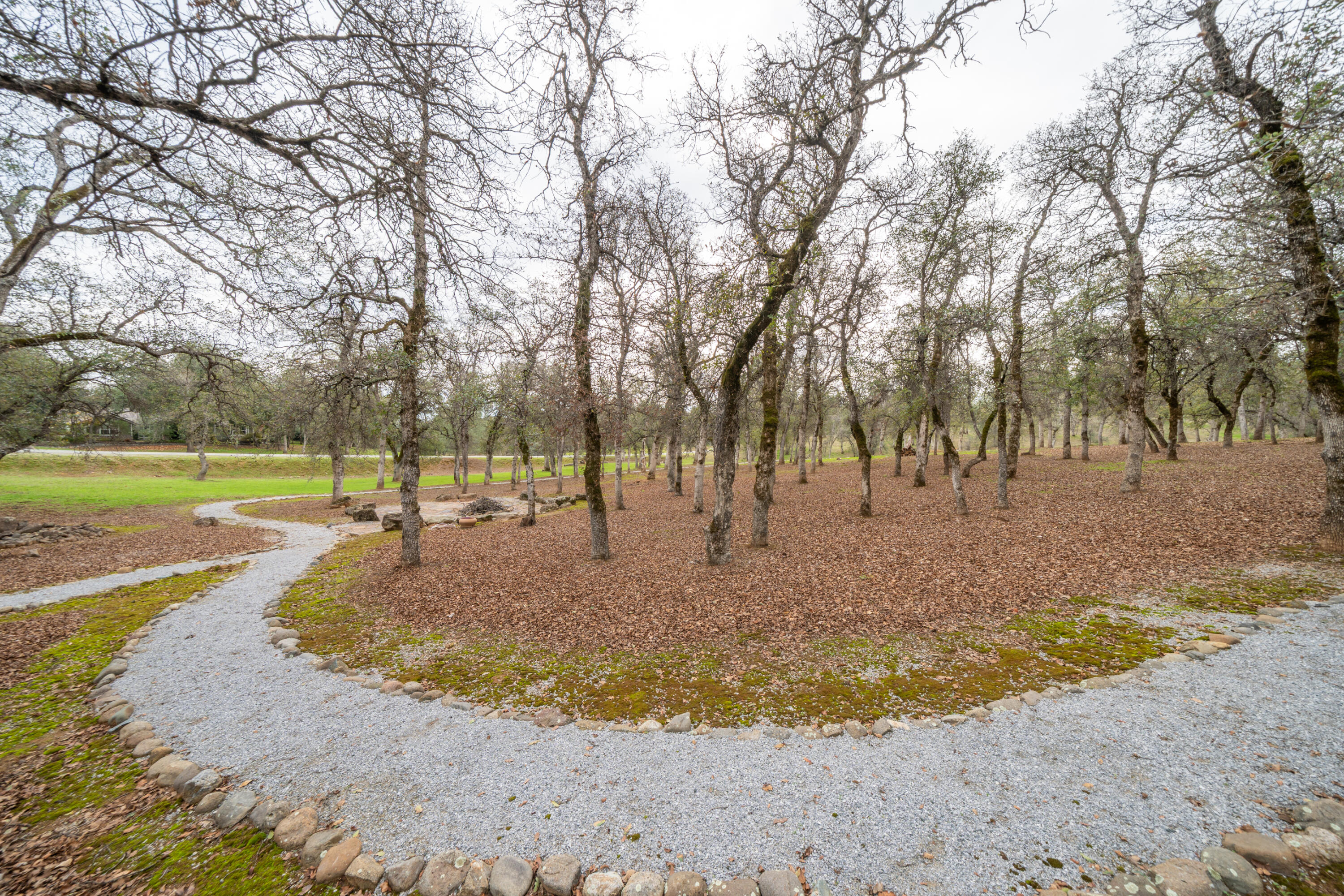 15900 El Camino Robles Road Redding, CA 96001 - Photo 108 of 117 a view of a yard with basketball court