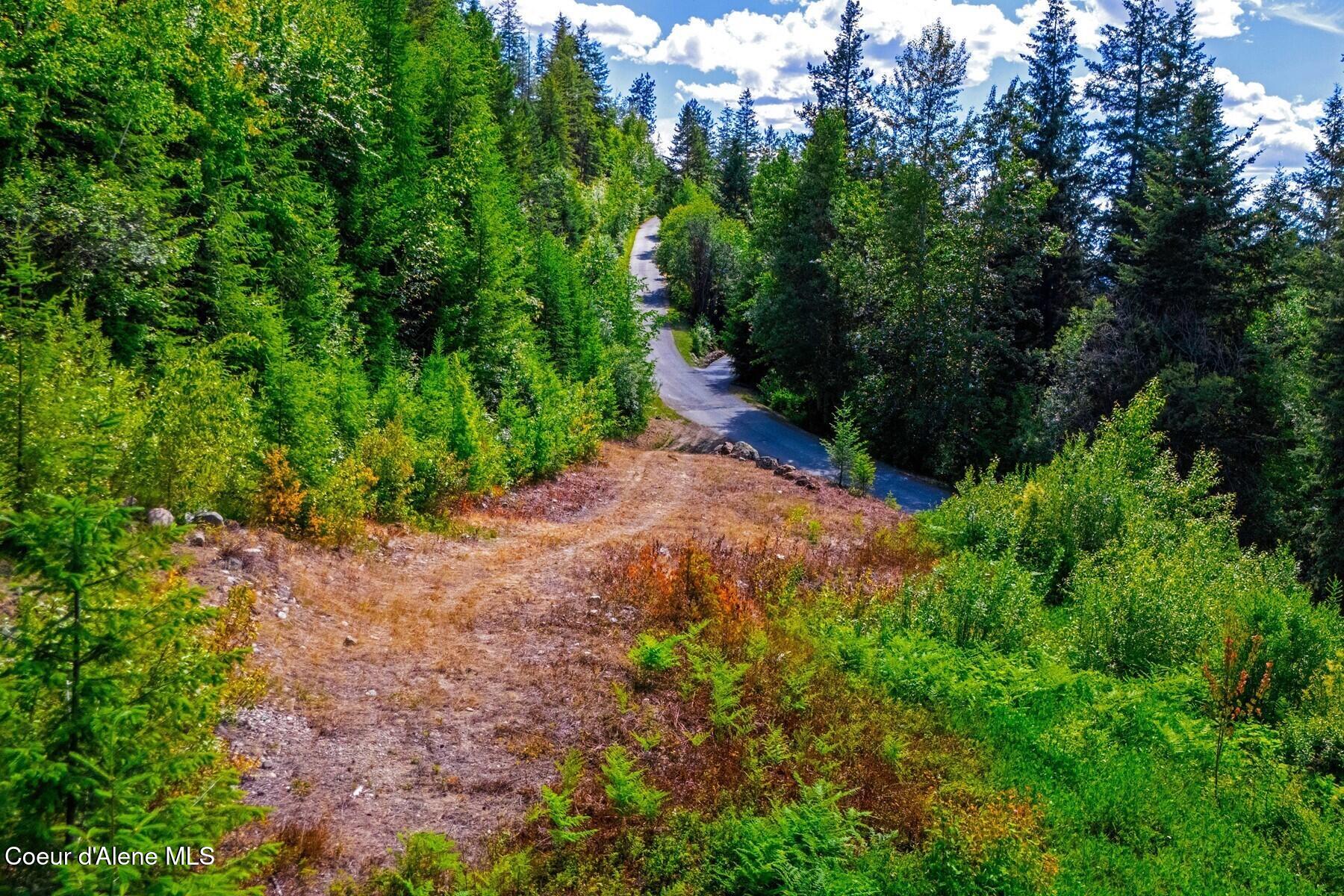 Lot 2 Forever View Road Sagle, ID 83860 - Photo 4 of 40 Build Site Established