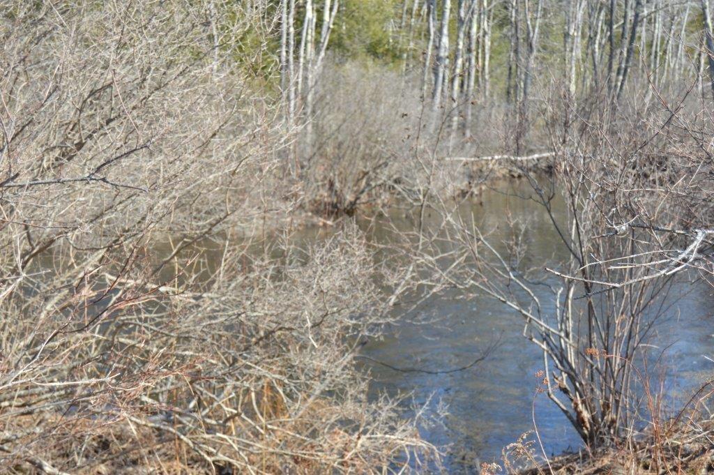 247 Whitcomb Road Belfast, ME 04915 - Photo 17 of 25 Photo