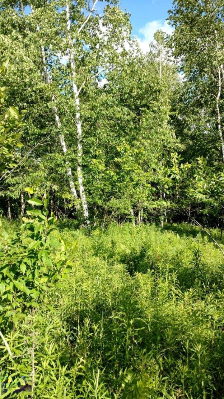 Main Photo