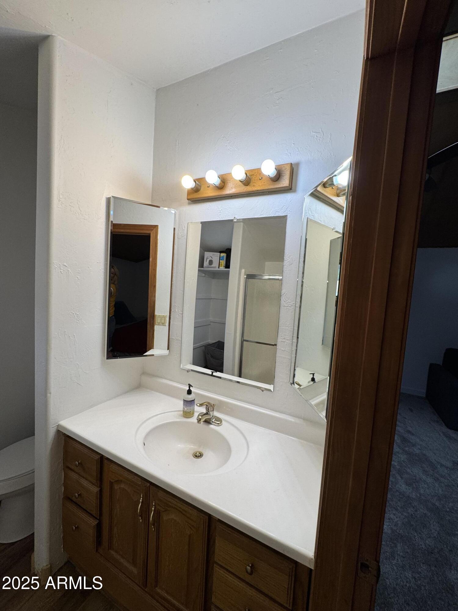 1905 Green Valley Road Heber, AZ 85928 - Photo 20 of 28 a bathroom with a sink and a mirror