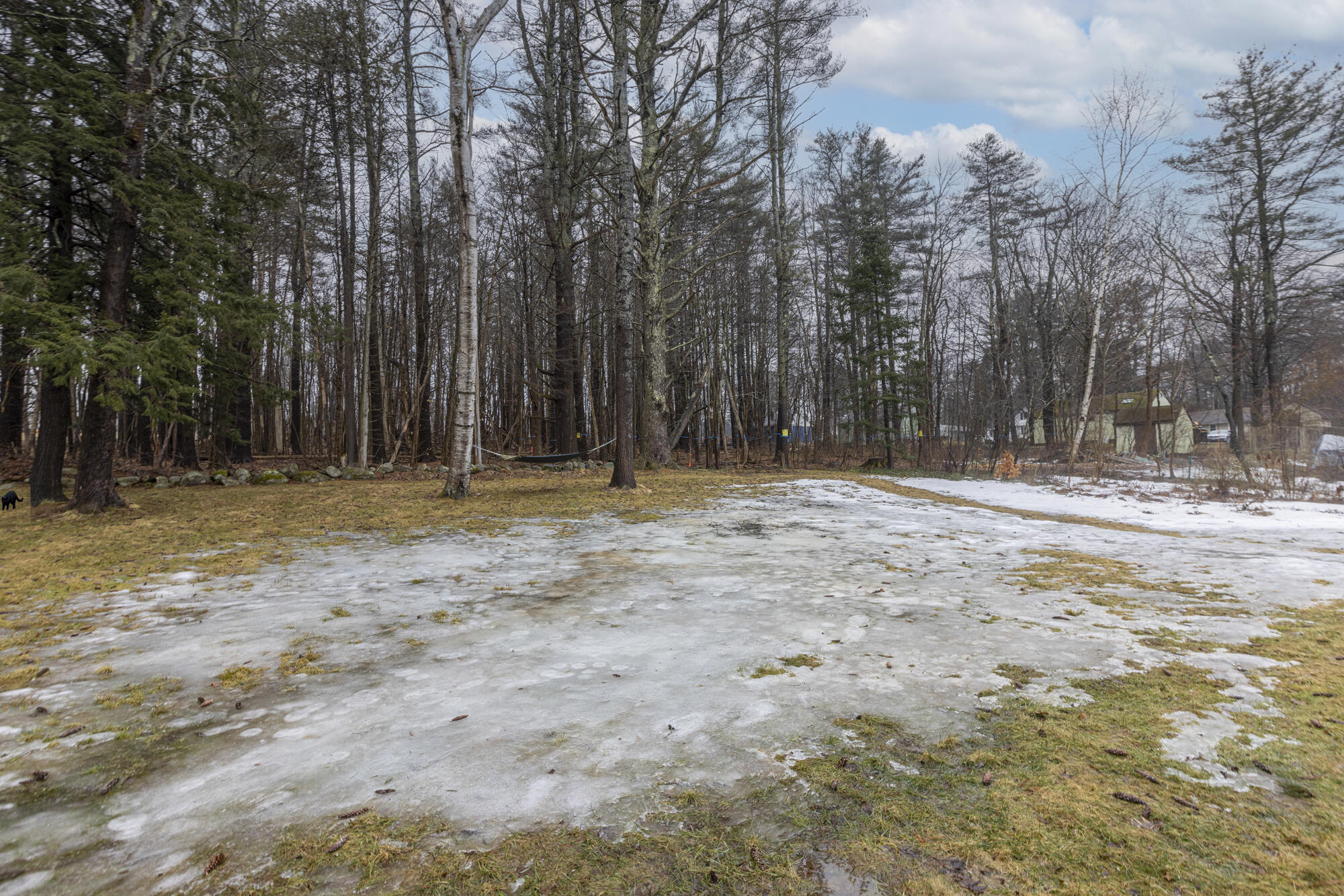 59 Deacon Road Yarmouth, ME 04096 - Photo 39 of 45 Wooded space behind home