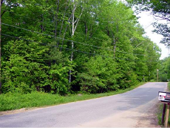 0 Brown Pasture Road Strafford, NH 03884 - Photo 1 of 1 Gallery Image 1