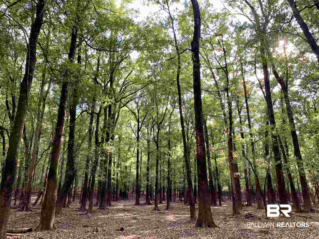 0 Holly Creek Road Stockton, AL 36579 - Photo 40 of 50