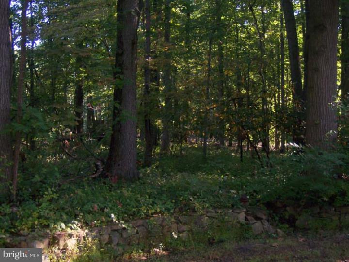 341 Rock Raymond Road Downingtown, PA 19335 - Photo 11 of 20 Gallery Image 11