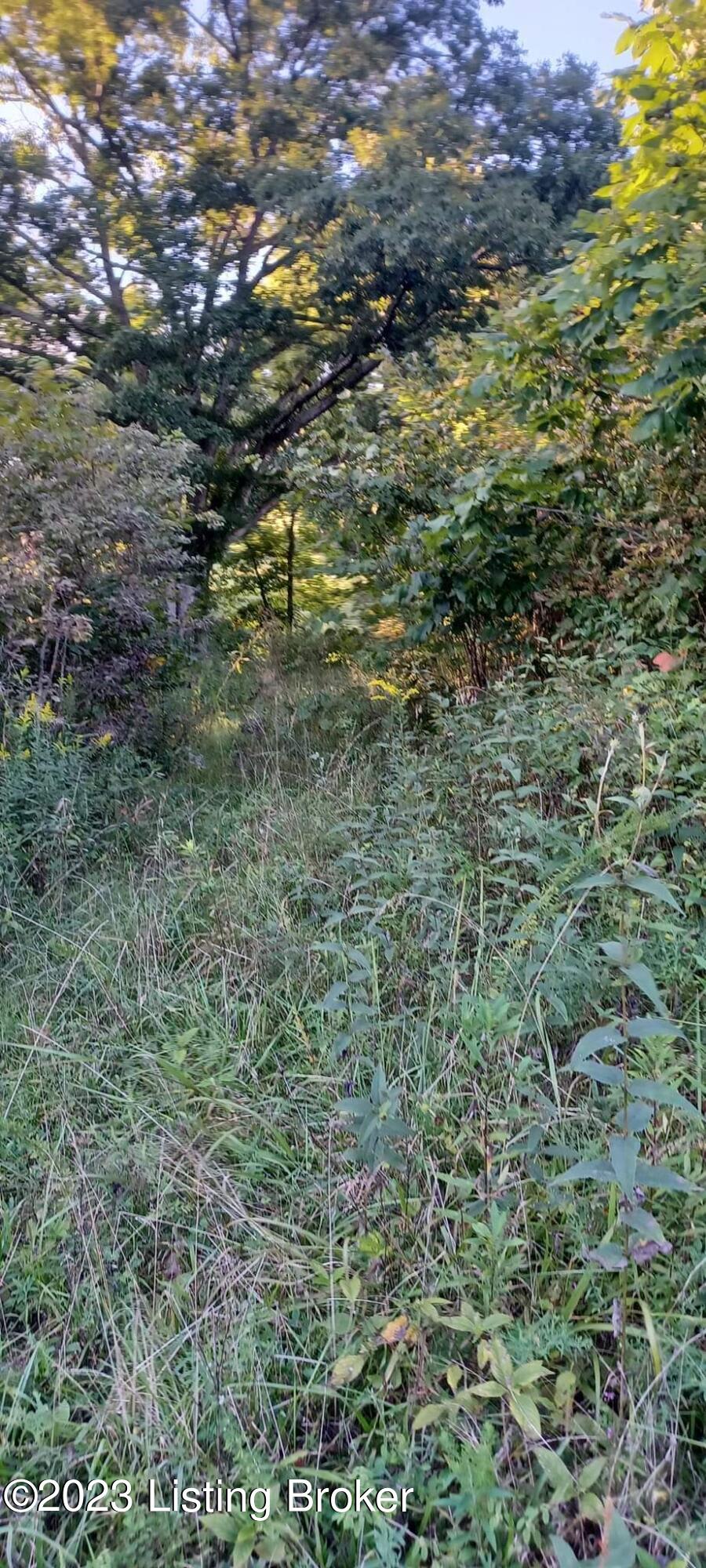 561 Gest Road Pleasureville, KY 40057 - Photo 8 of 8 11