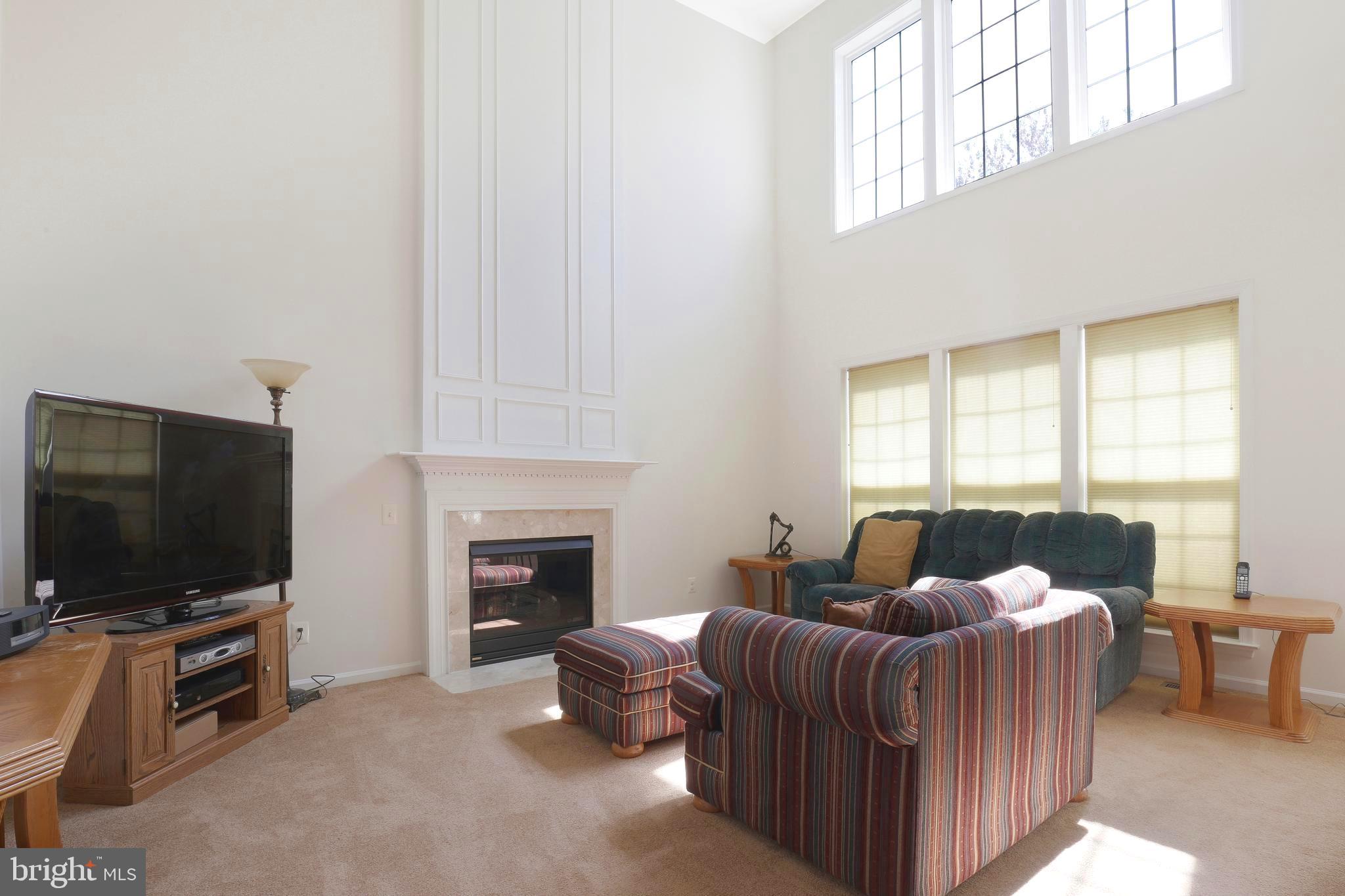 12351 Brown Fox Way Reston, VA 20191 - Photo 15 of 33 High Cellings in Family Room