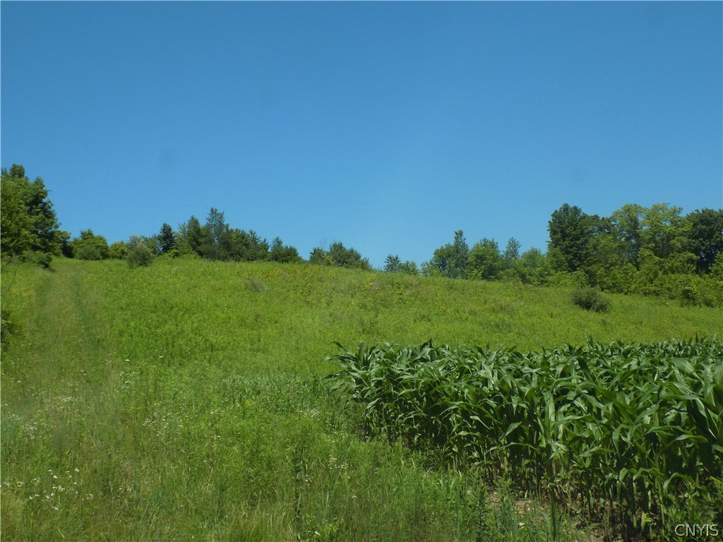 7760 Ny Route 79 Road Whitney Point, NY 13862 - Photo 13 of 23