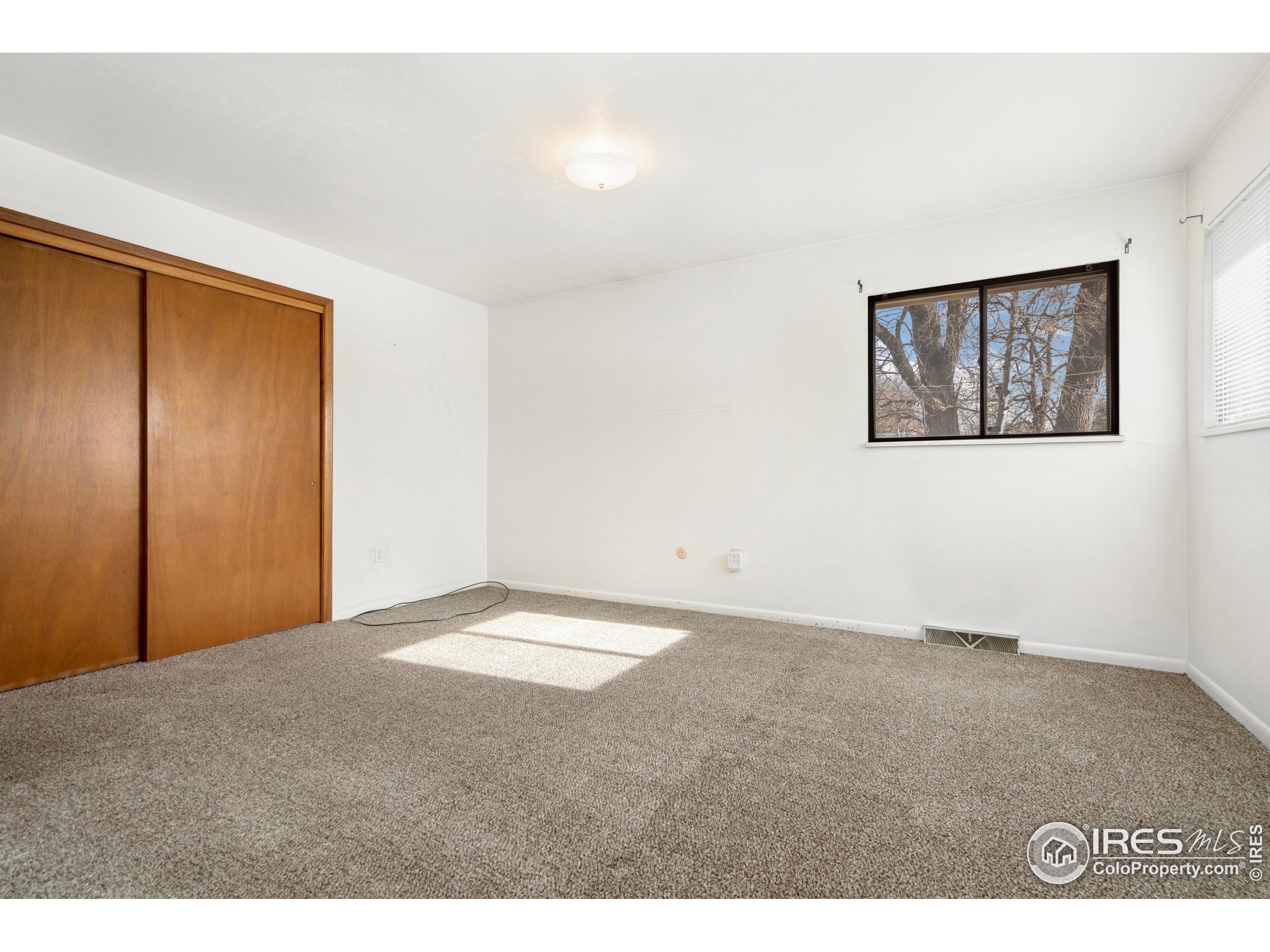 409 7th Street Windsor, CO 80550 - Photo 22 of 42