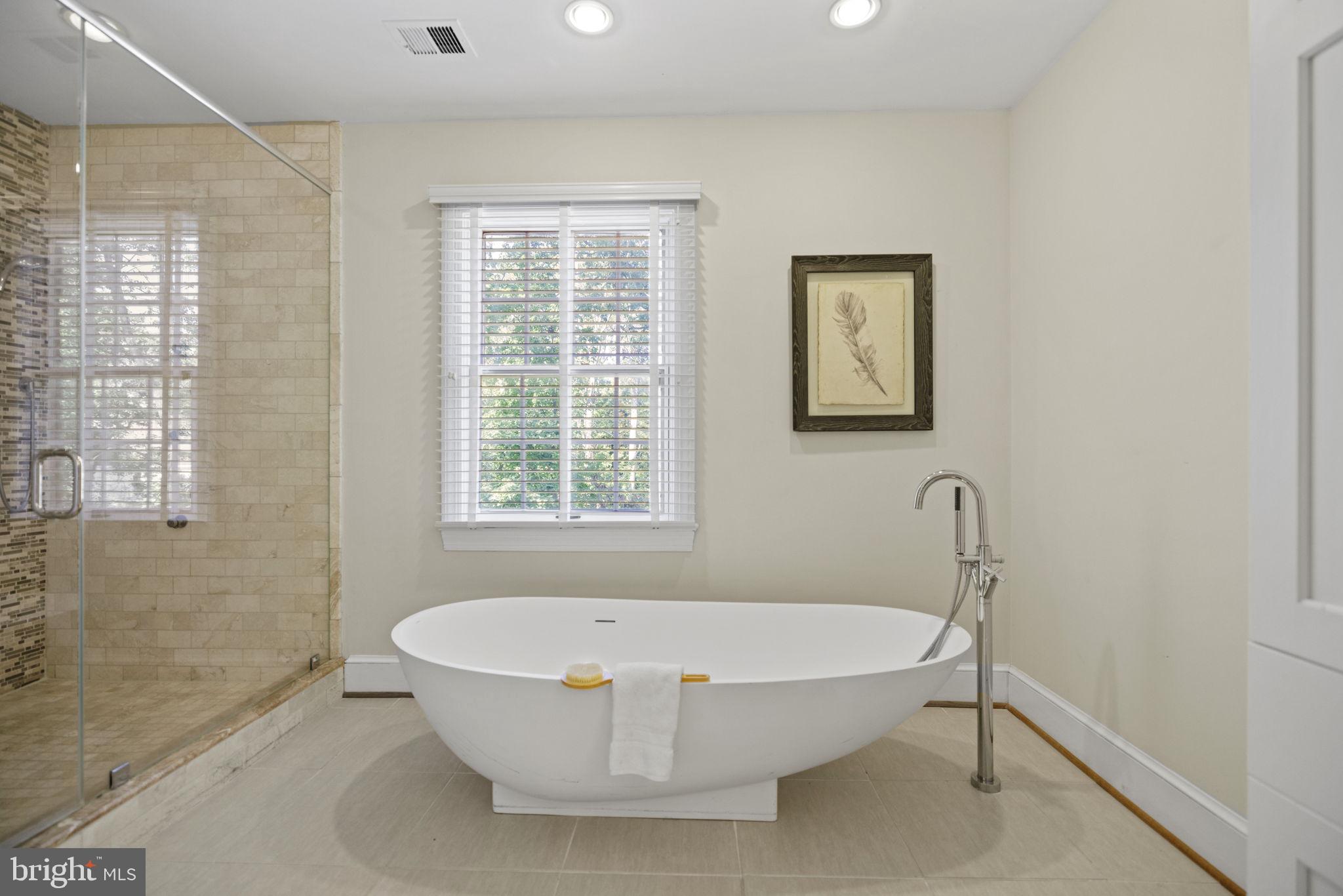 4006 Belle Rive Terrace Alexandria, VA 22309 - Photo 32 of 68 Primary Bath Soaking Tub