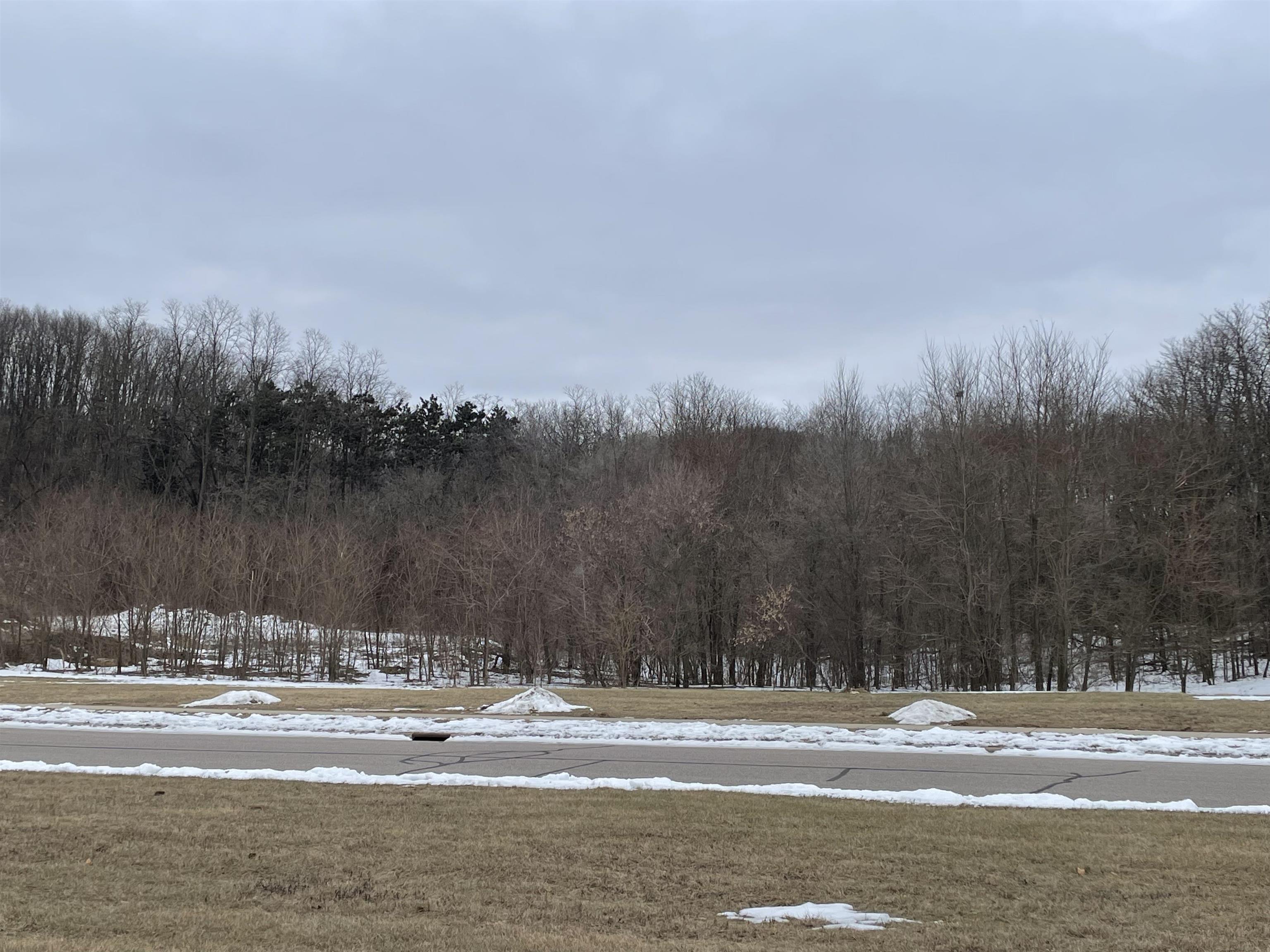 603 Prairie Lane Mazomanie, WI 53560 - Photo 5 of 24