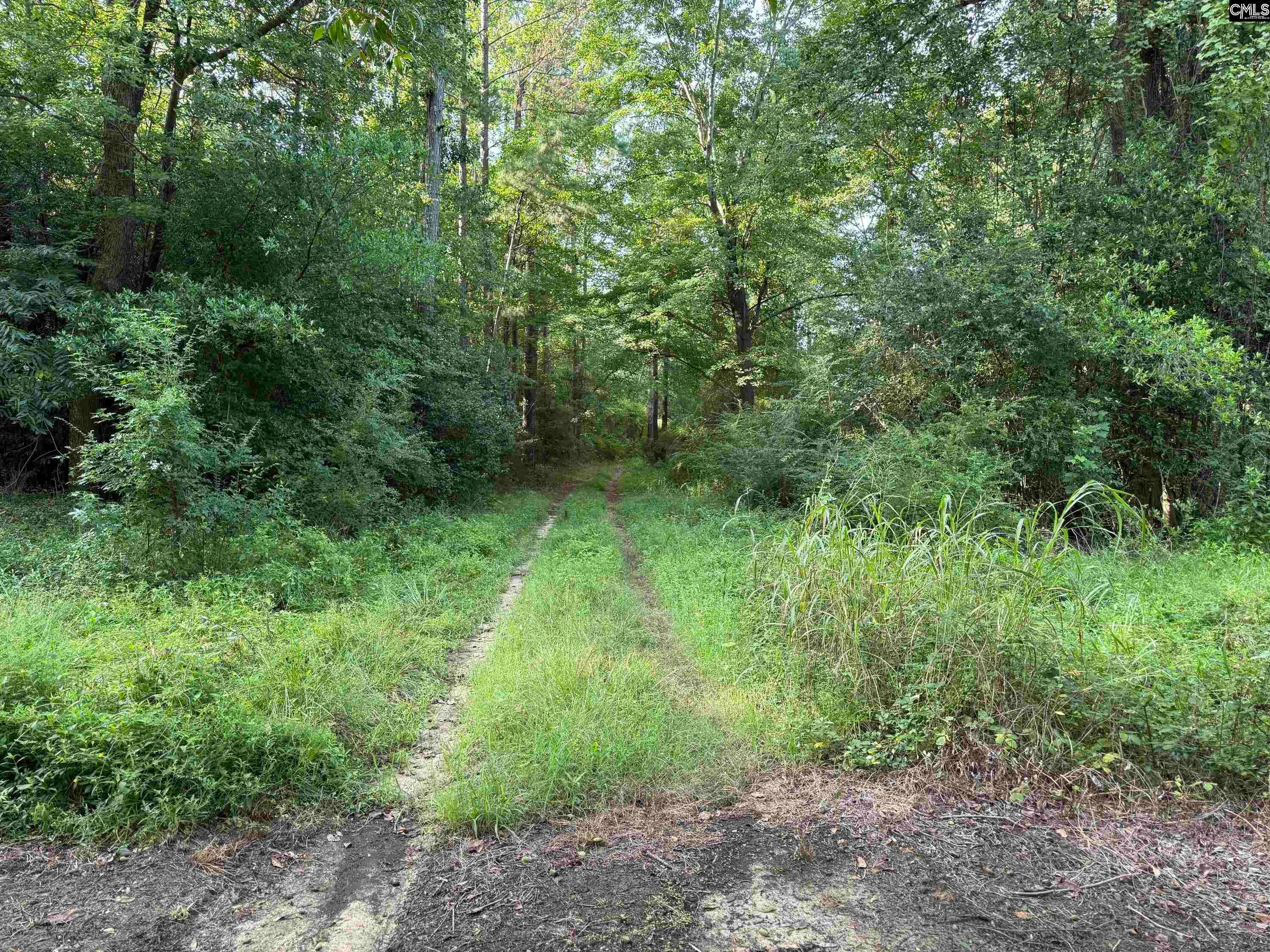 469 Brodie Road Leesville, SC 29070 - Photo 14 of 19 Gallery Image 14