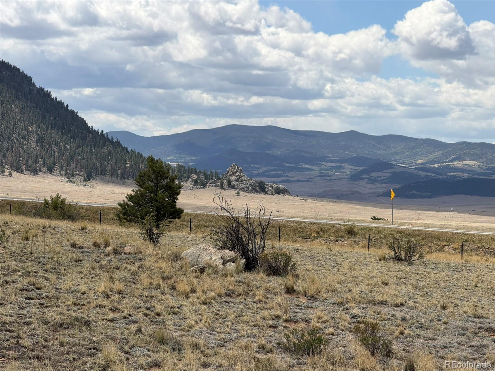 42 Turner Gulch Road Lake George, CO 80827 - Photo 20 of 23 a view of a dry yard with wooden fence