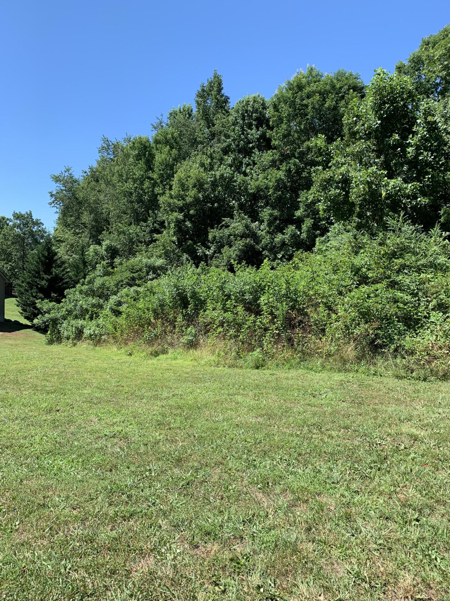 Wolf Peak Heiskell, TN 37754 - Photo 1 of 3 From Street