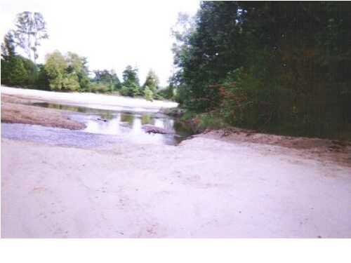 5356 Coons Mill Road Centreville, MS 39631 - Photo 3 of 3 Gallery Image 3