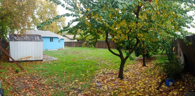 a view of a backyard with large trees and plants