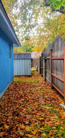 a view of a backyard