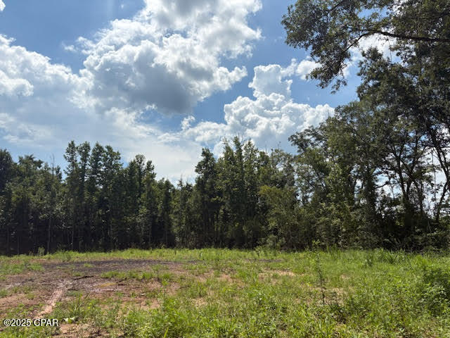 0 Bonnet Pond Road Cottondale, FL 32431 - Photo 6 of 11