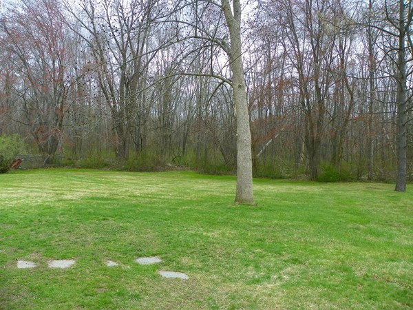 50 Butternut Hollow Road West Springfield, MA 01089 - Photo 18 of 21 Gallery Image 18