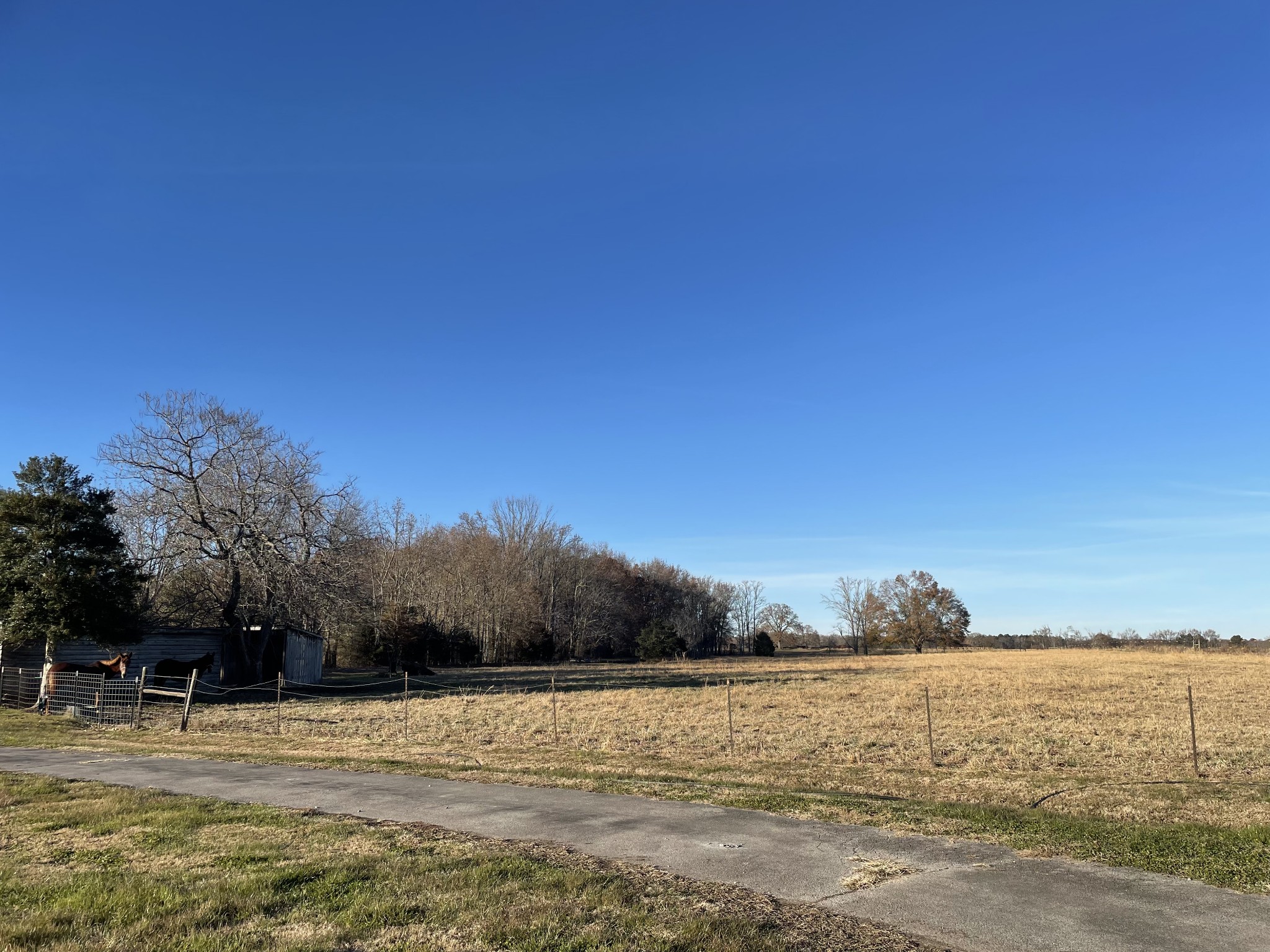 138 Old Baptist Road Ardmore, TN 38449 - Photo 11 of 54 Gallery Image 11