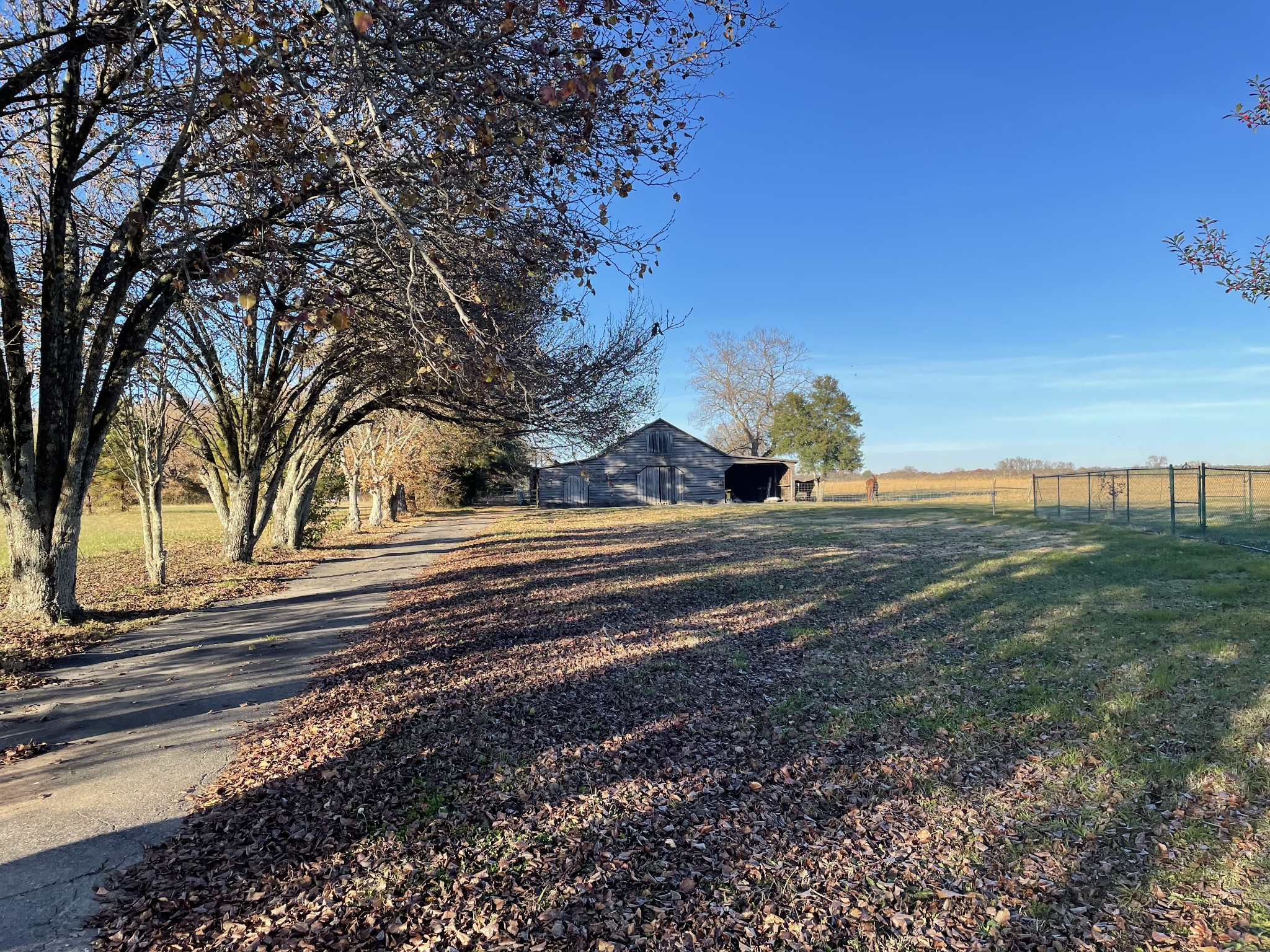 138 Old Baptist Road Ardmore, TN 38449 - Photo 10 of 54 Gallery Image 10