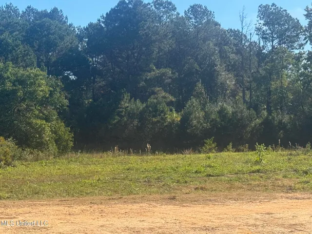 $22,000 | Integrity Road, McComb, MS 39648