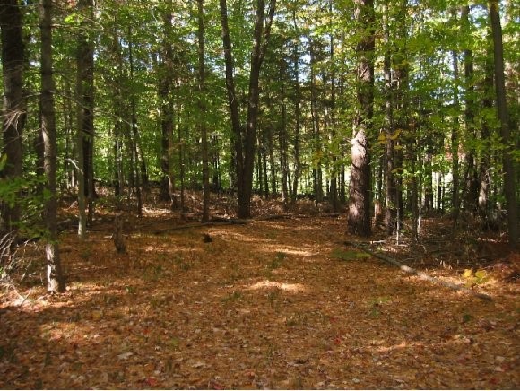 384 Barrows Road Brattleboro, VT 05301 - Photo 3 of 6