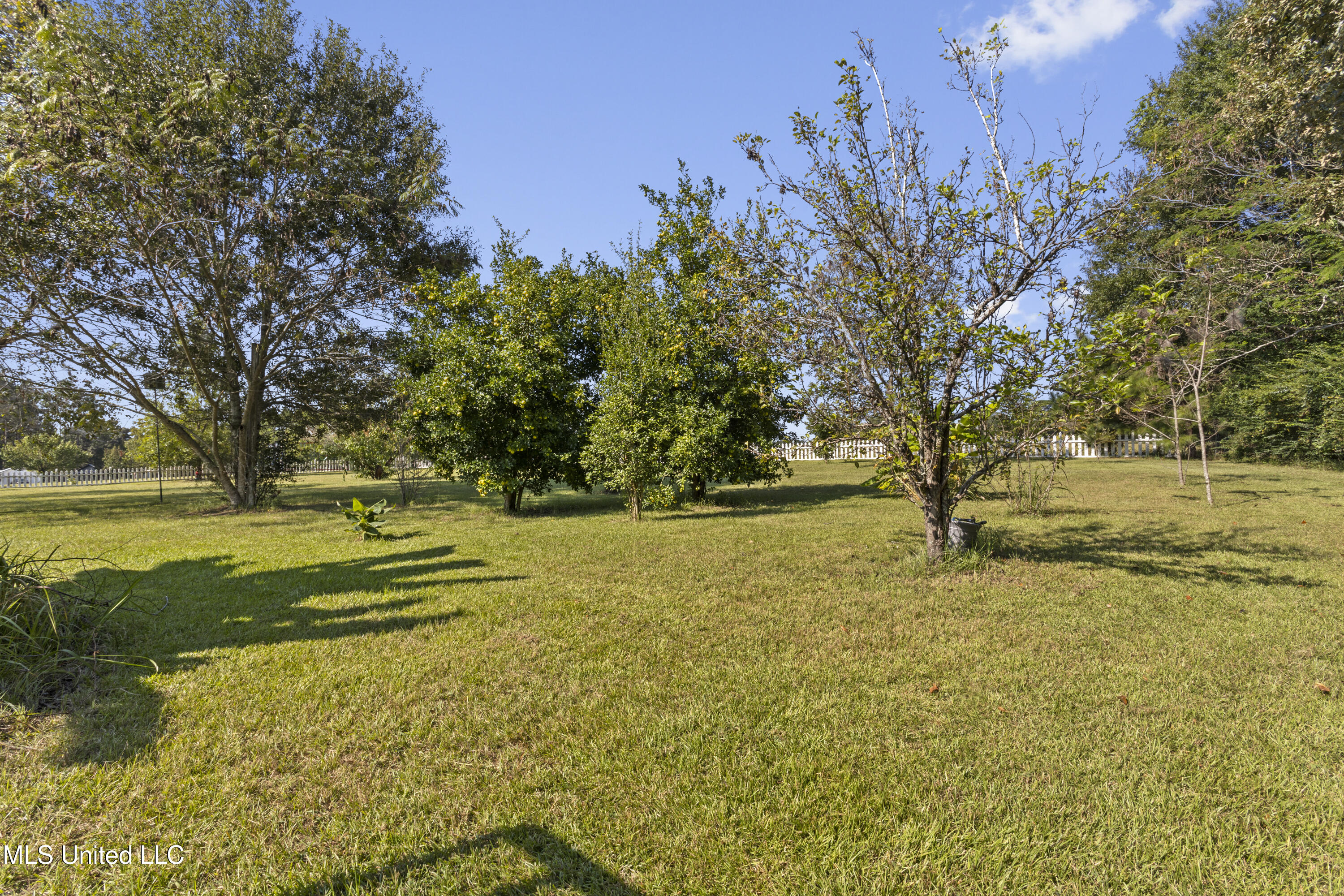 147 Blue Springs Road Lucedale, MS 39452 - Photo 70 of 83 0072