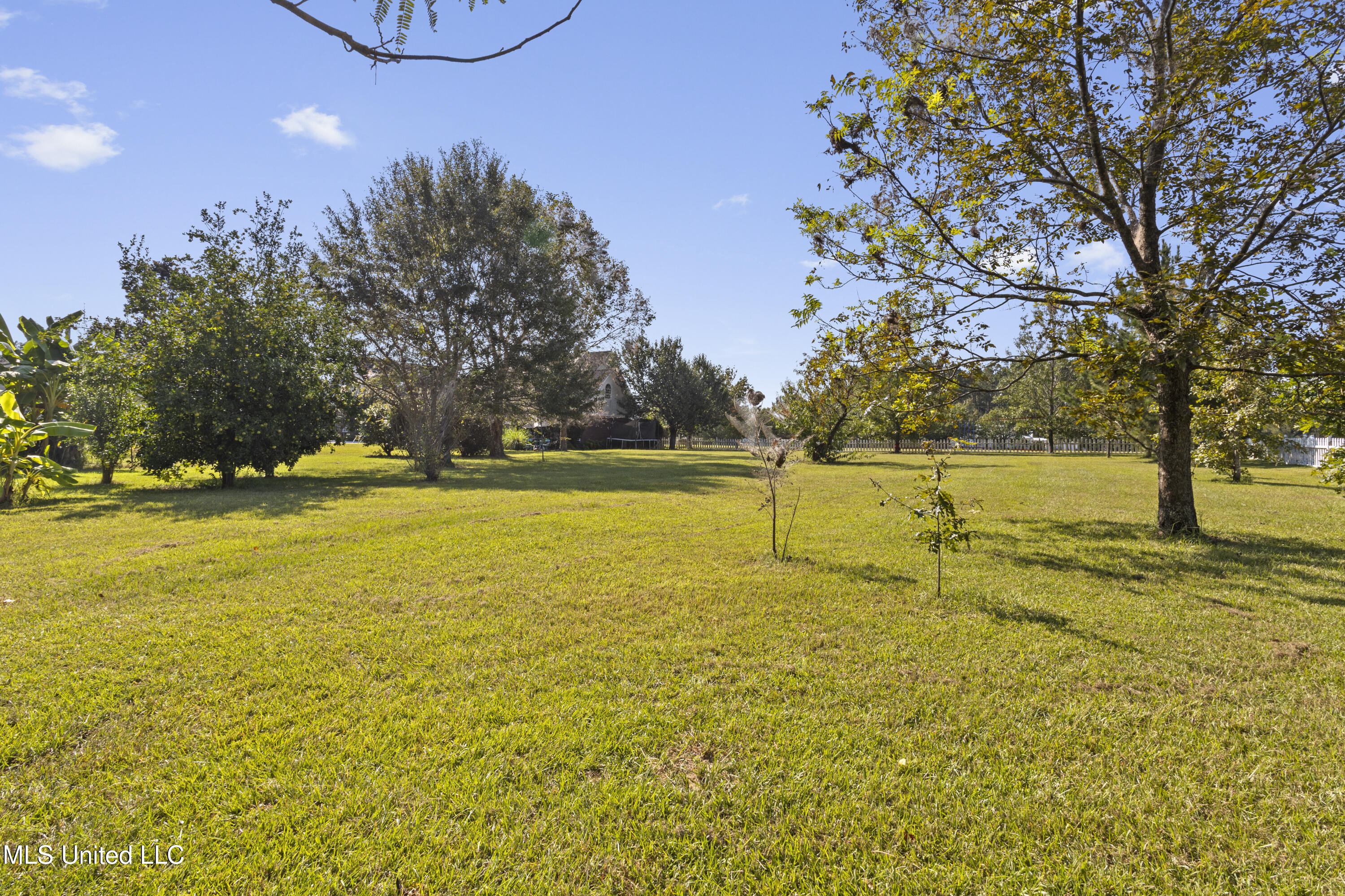147 Blue Springs Road Lucedale, MS 39452 - Photo 71 of 83 0073