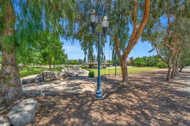 a view of a garden with a bench under an umbrella