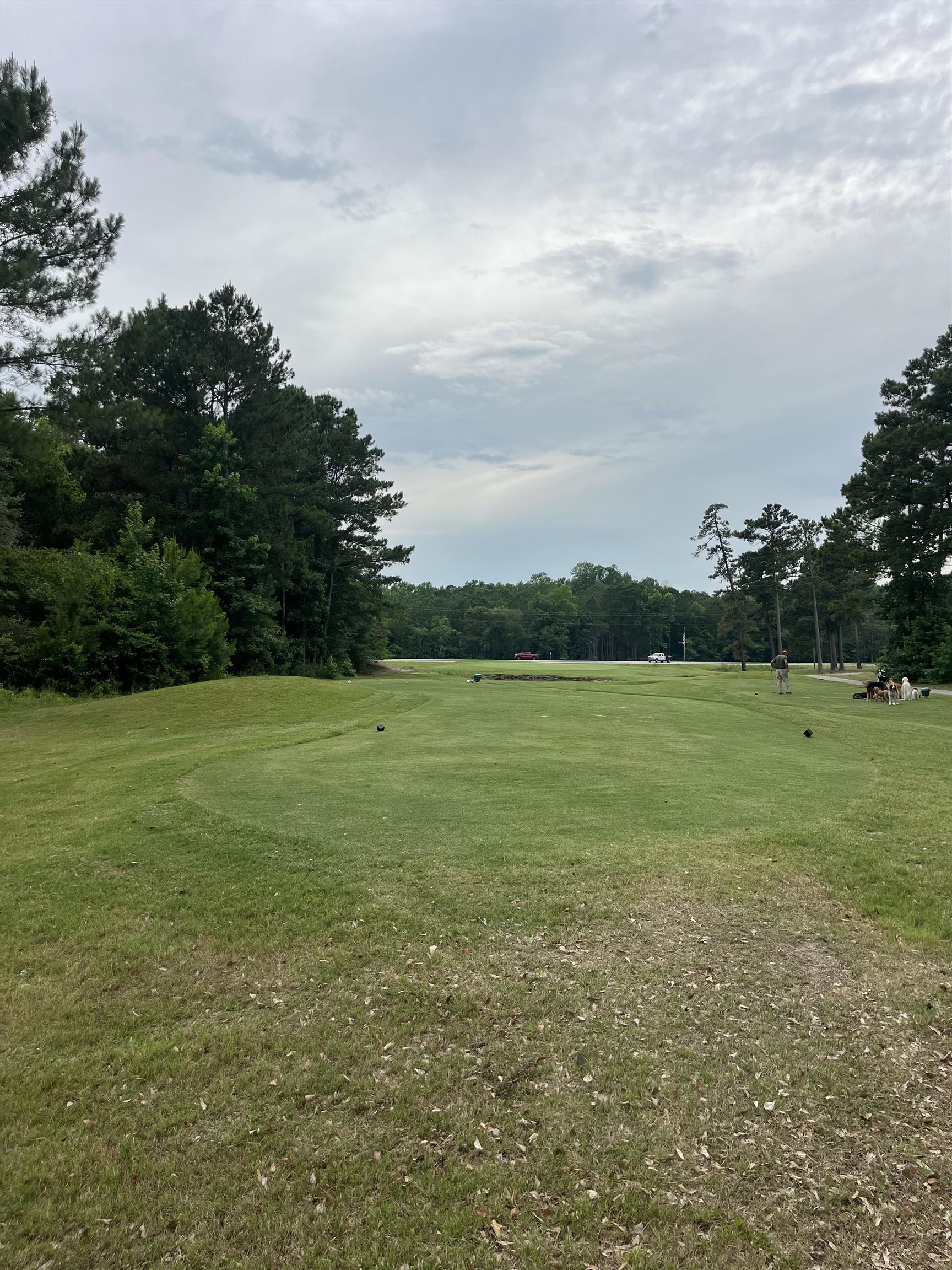 Tbd Long Meadow Drive Loris, SC 29569 - Photo 4 of 6