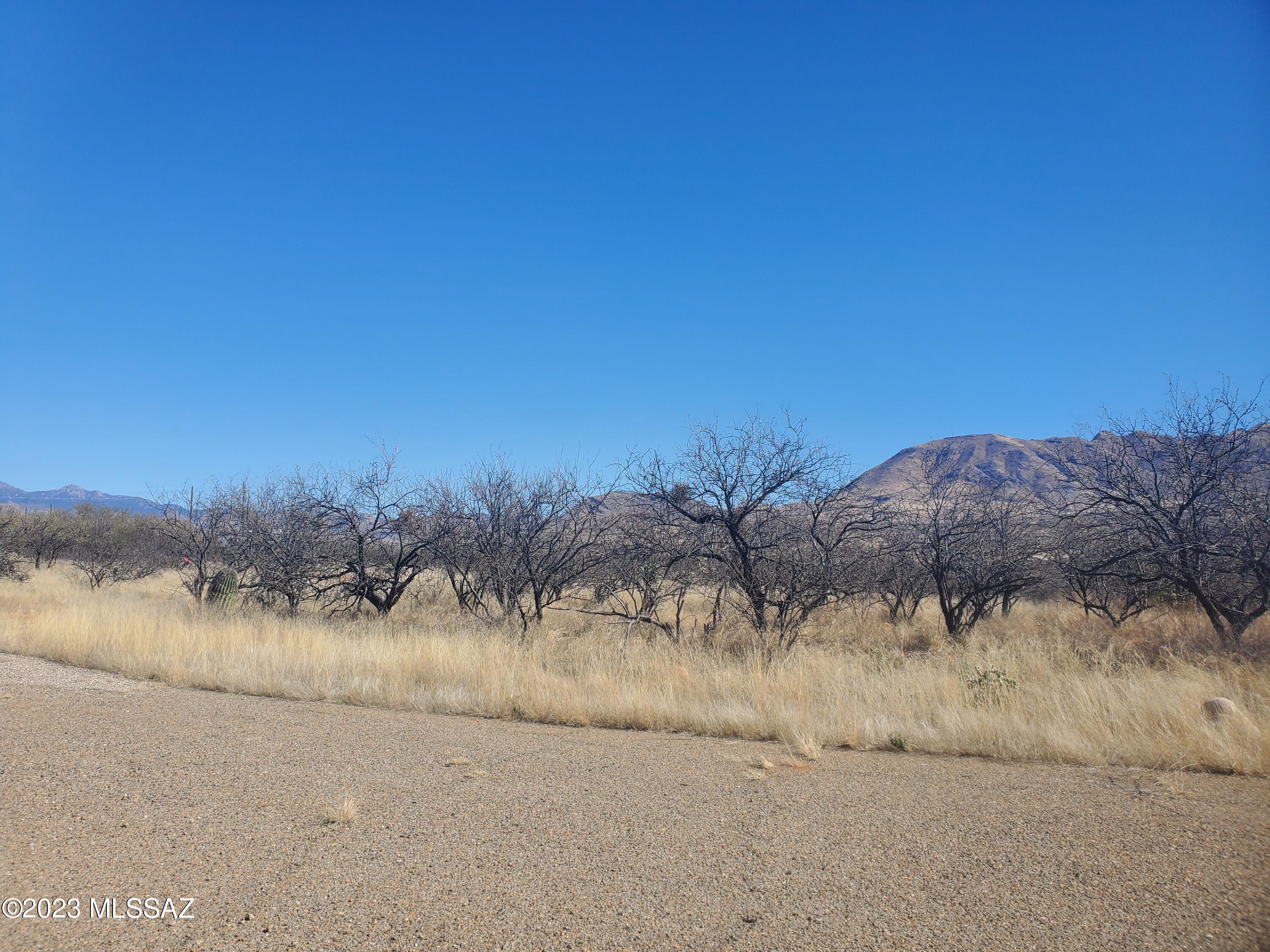 1731 Capri Court, Unit 40 Rio Rico, AZ 85648 - Photo 4 of 10