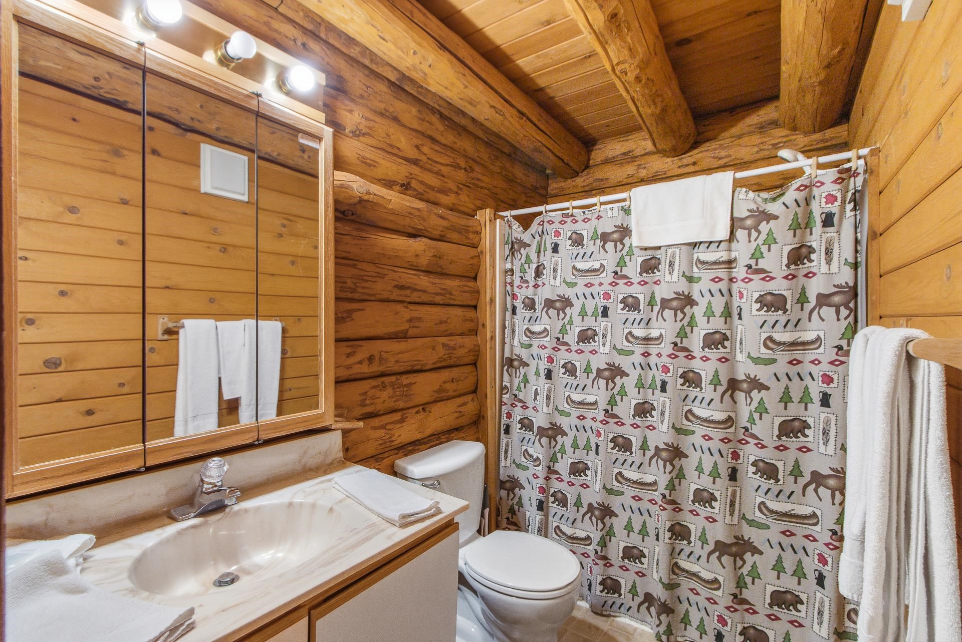 857 Canyon Road Wisconsin Dells, WI 53965 - Photo 24 of 79