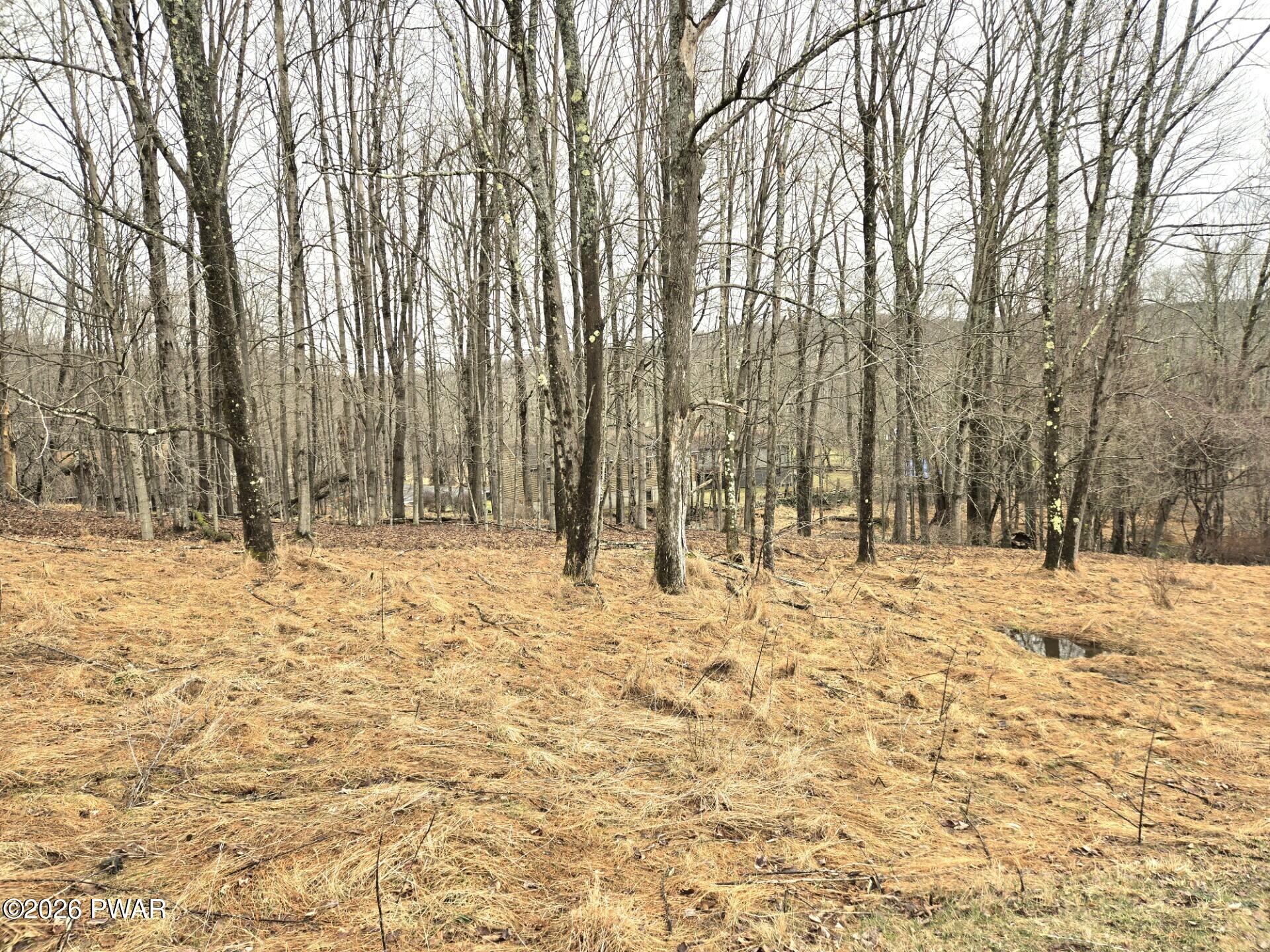 Lot 697 Black Bear Rd Lake Scranton, PA 18508 - Photo 2 of 8
