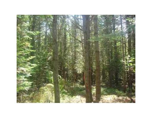 165 A Dana Mill Road Woolwich, ME 04579 - Photo 2 of 3 Land.