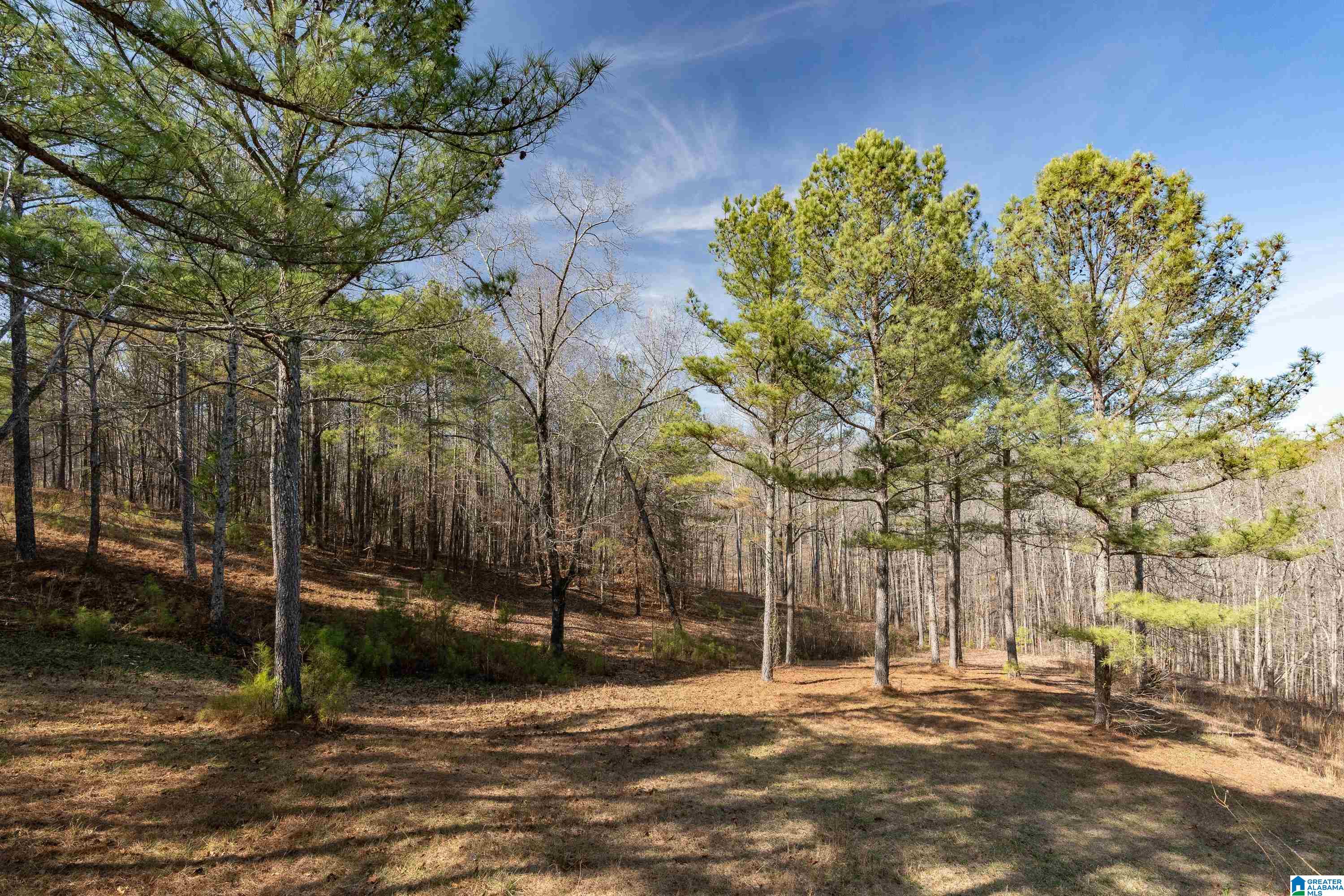 1276 County Highway 7 Hayden, AL 35079 - Photo 56 of 68