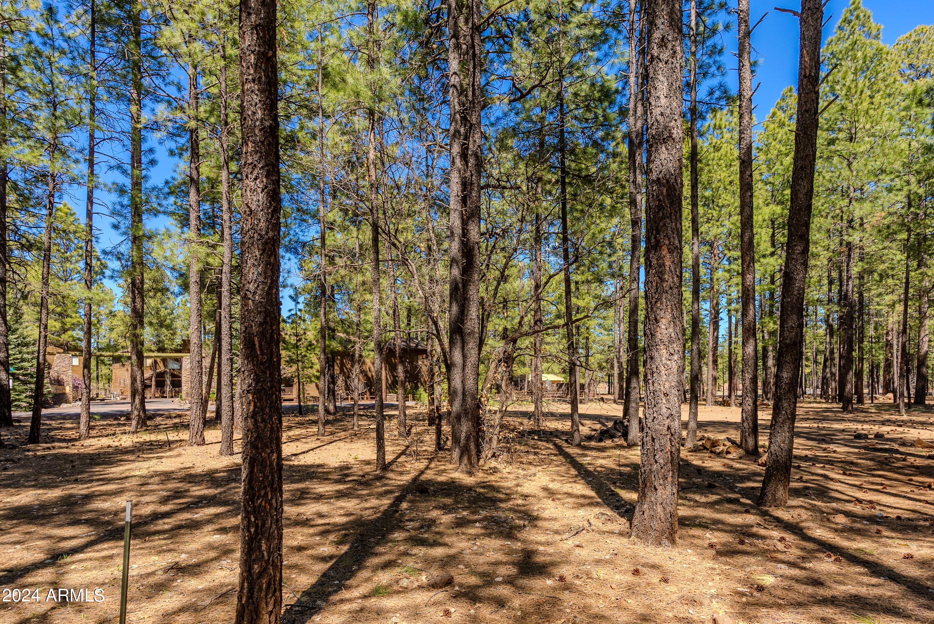 4571 Sky Hi Road Pinetop, AZ 85935 - Photo 22 of 23 4571 Sky Hi-22