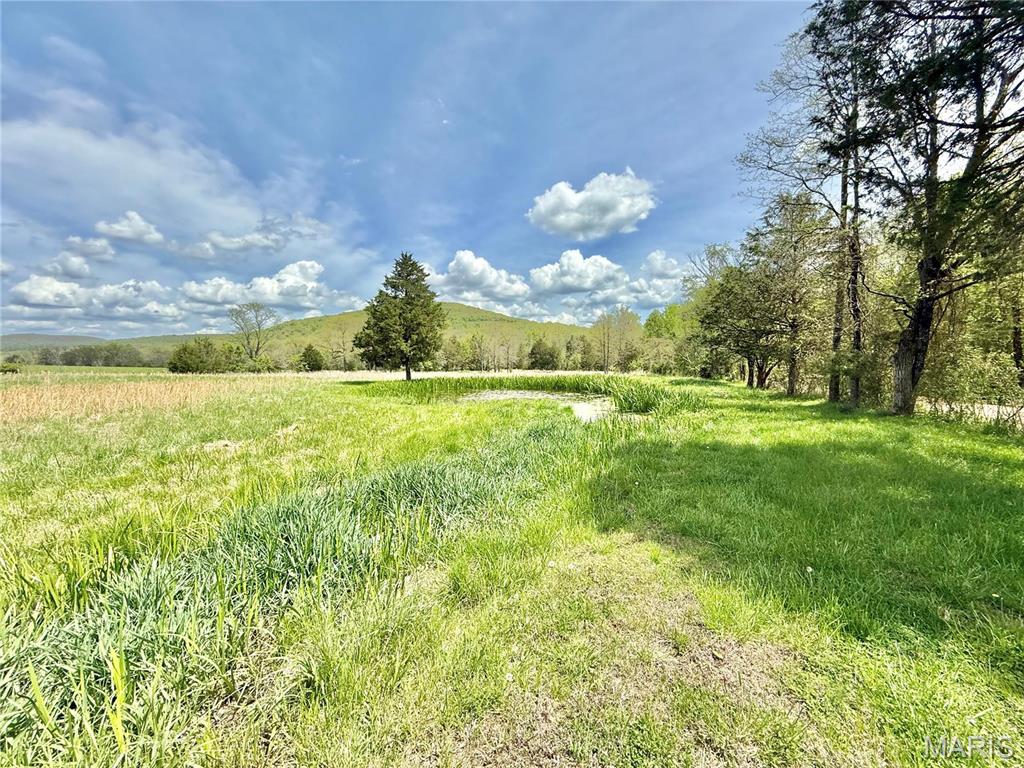 907 Wayne 314 Patterson, MO 63956 - Photo 7 of 45