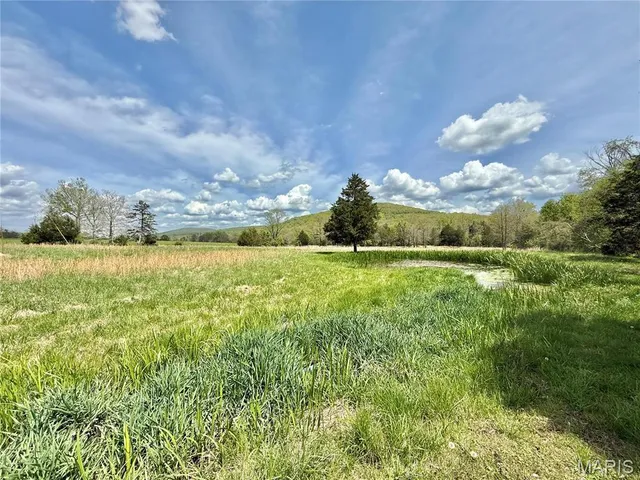 $249,900 | 907 Wayne 314, Patterson, MO 63956