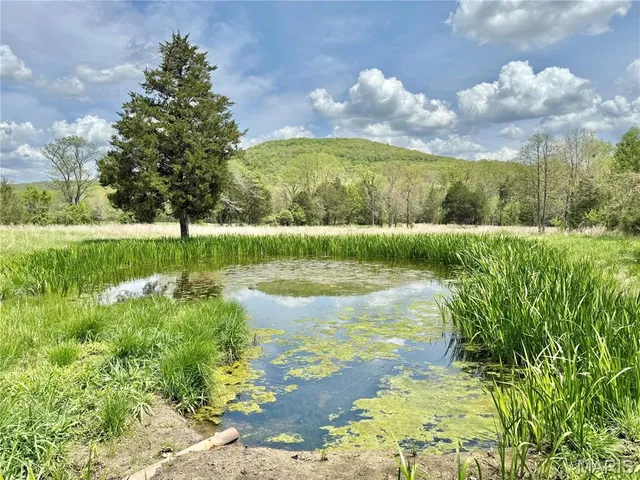 $249,900 | 907 Wayne 314, Patterson, MO 63956