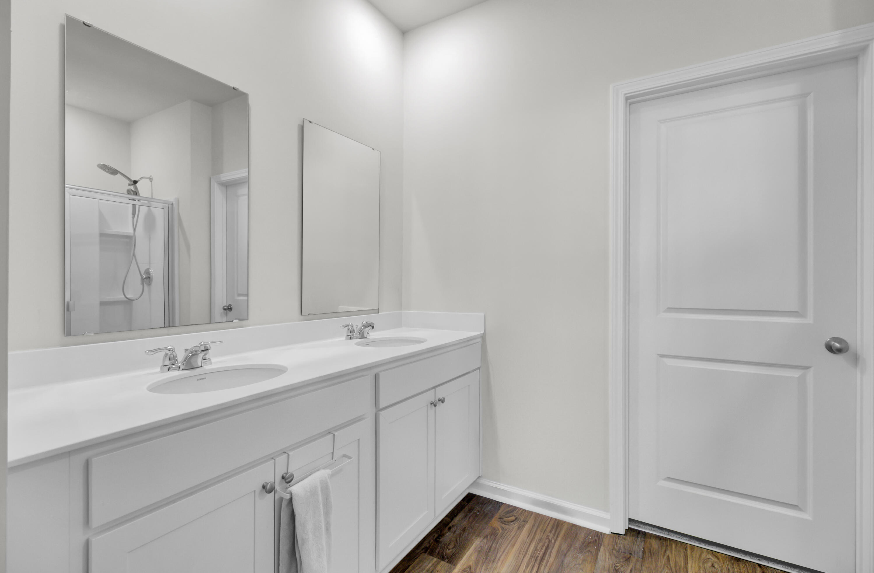 163 Horizon Rdg Drive Summerville, SC 29486 - Photo 10 of 18 163 Horizon Ridge primary bathroom