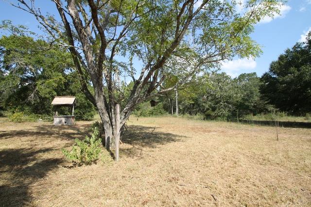 4189 Painter Branch Road Crestview, FL 32539 - Photo 8 of 35 a view of a yard with a tree