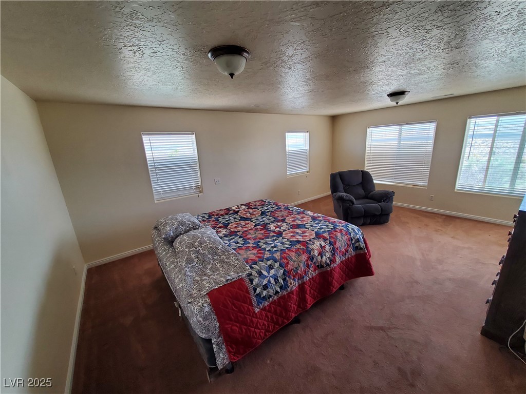 5272 Truman Lane Caliente, NV 89008 - Photo 13 of 39 Bedroom with baseboards, carpet flooring, and a textured ceiling