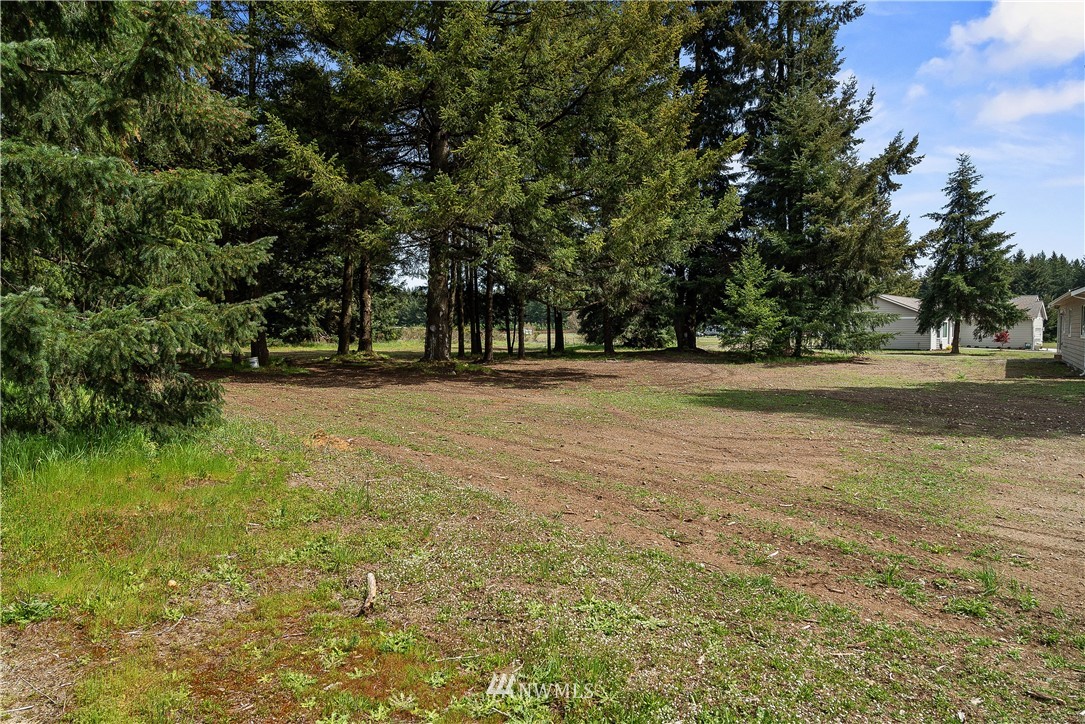 18221 Lawton Lane Southwest Rochester, WA 98579 - Photo 31 of 36 a view of dirt field with trees