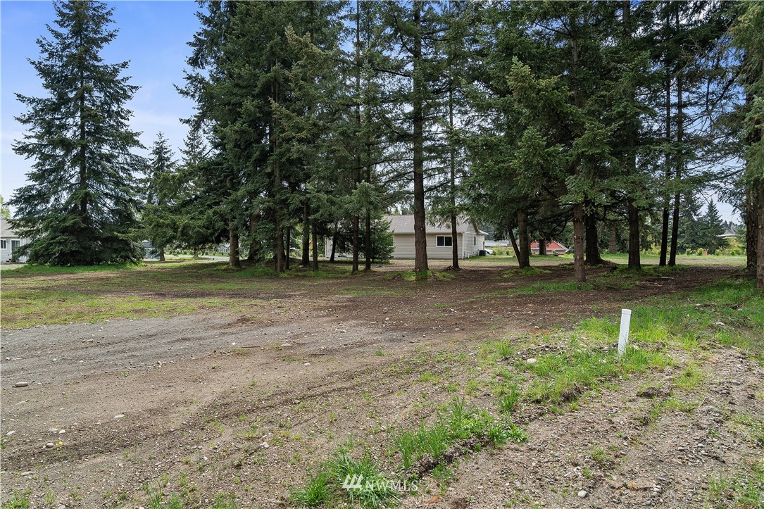 18221 Lawton Lane Southwest Rochester, WA 98579 - Photo 33 of 36 a view of outdoor space with trees all around
