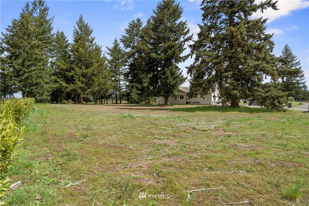 18221 Lawton Lane Southwest Rochester, WA 98579 - Photo 34 of 36 a view of outdoor space with yard and trees